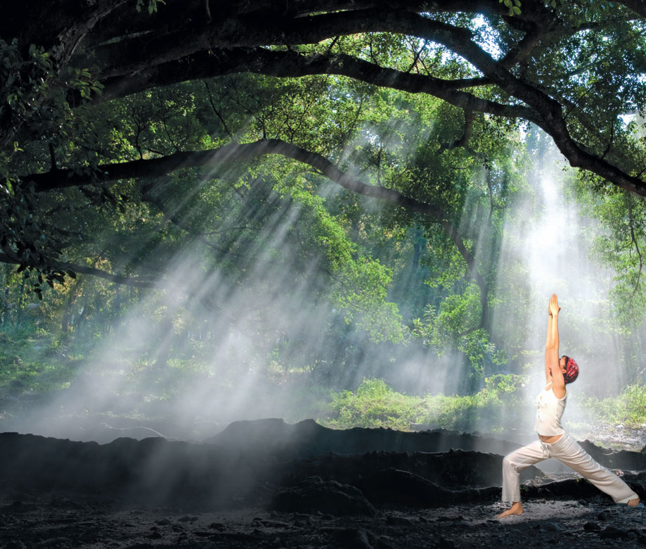 Yogi_tradition_1