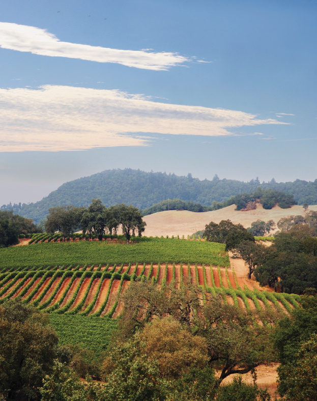 NAPA_1
