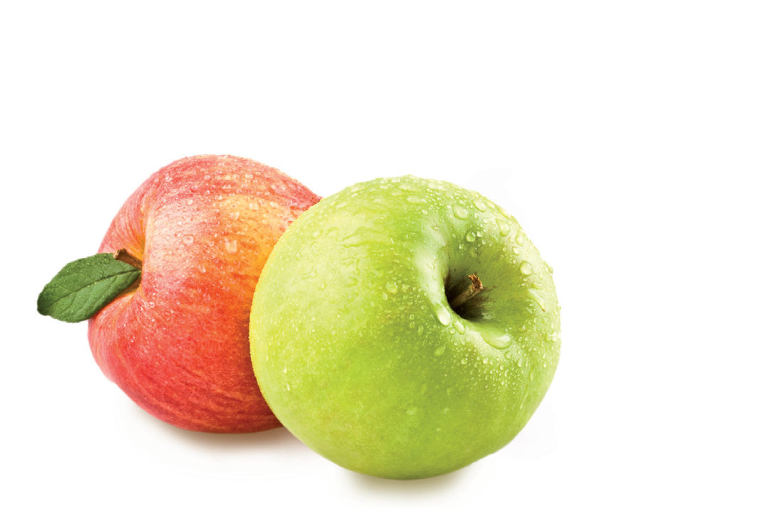 Foods_Young_1